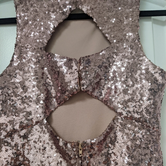 Beautiful Rose Gold Sequins Sparkly Dress - Picture 9 of 16